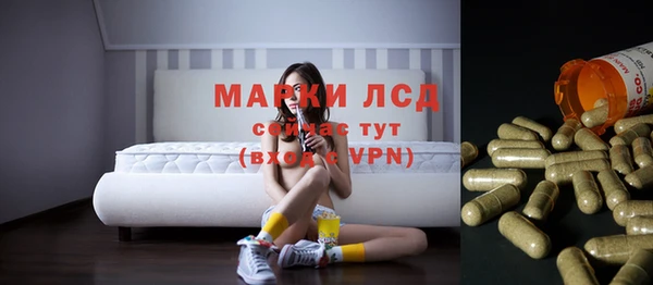 сатива Алзамай