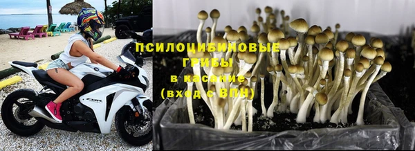 экстази Алексин