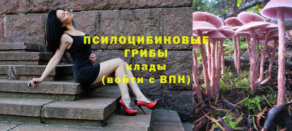 сатива Алзамай