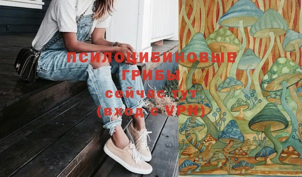 не бодяженный Няндома