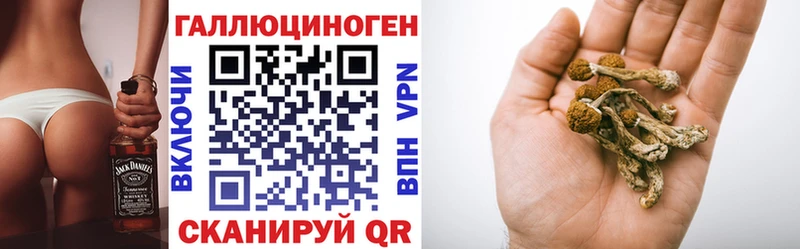 хочу   Аткарск  Галлюциногенные грибы мицелий 